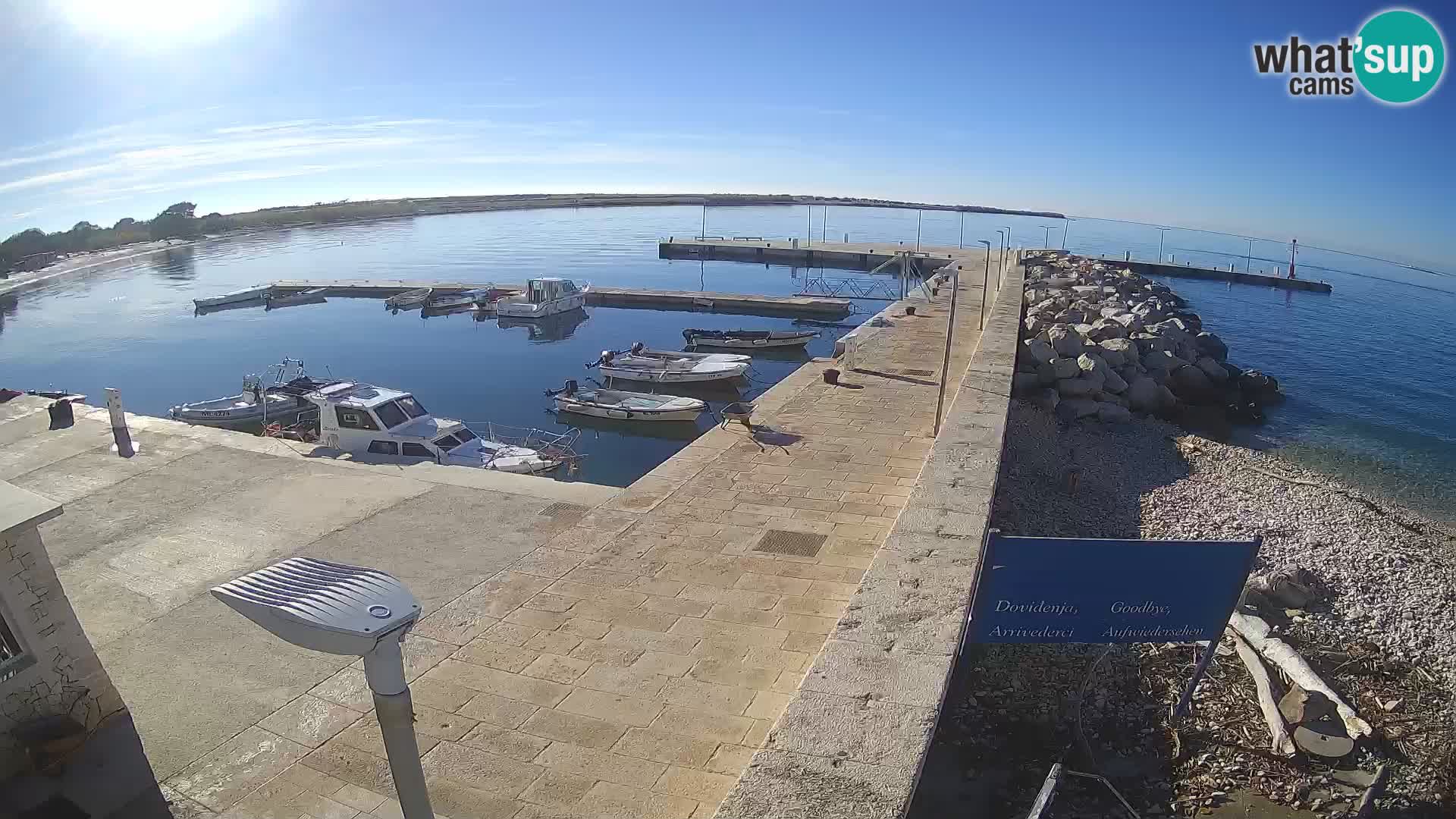 Cámara web de la isla de Unije: explore la belleza de la joya escondida de Croacia