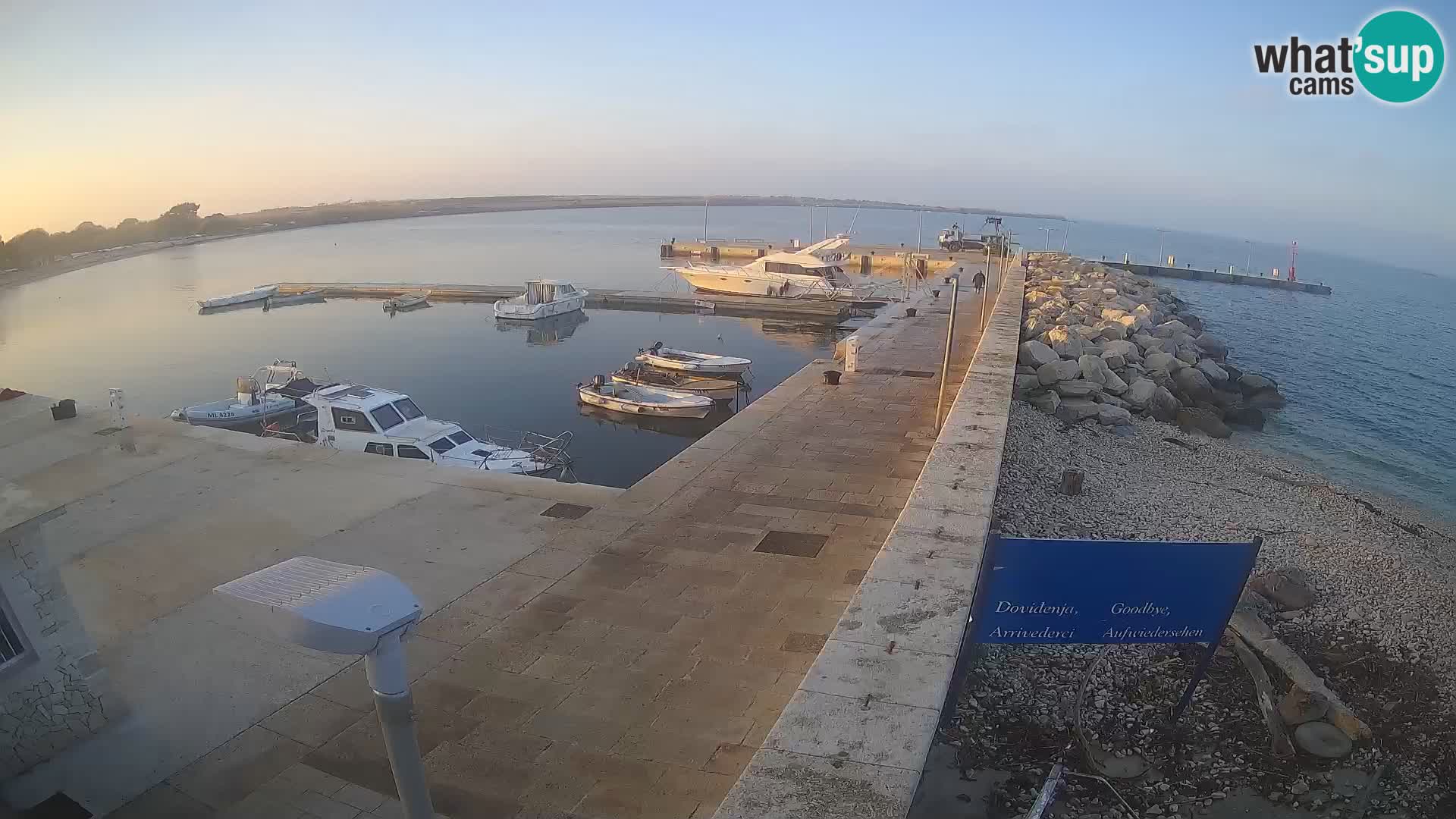 Cámara web de la isla de Unije: explore la belleza de la joya escondida de Croacia