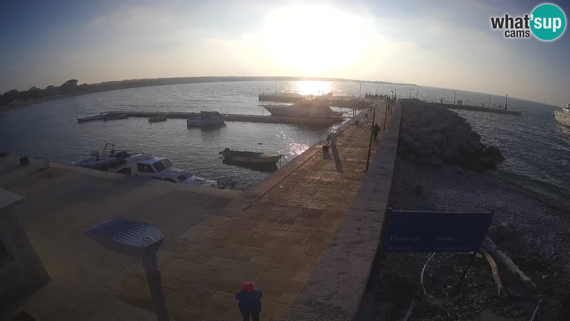 Cámara web de la isla de Unije: explore la belleza de la joya escondida de Croacia