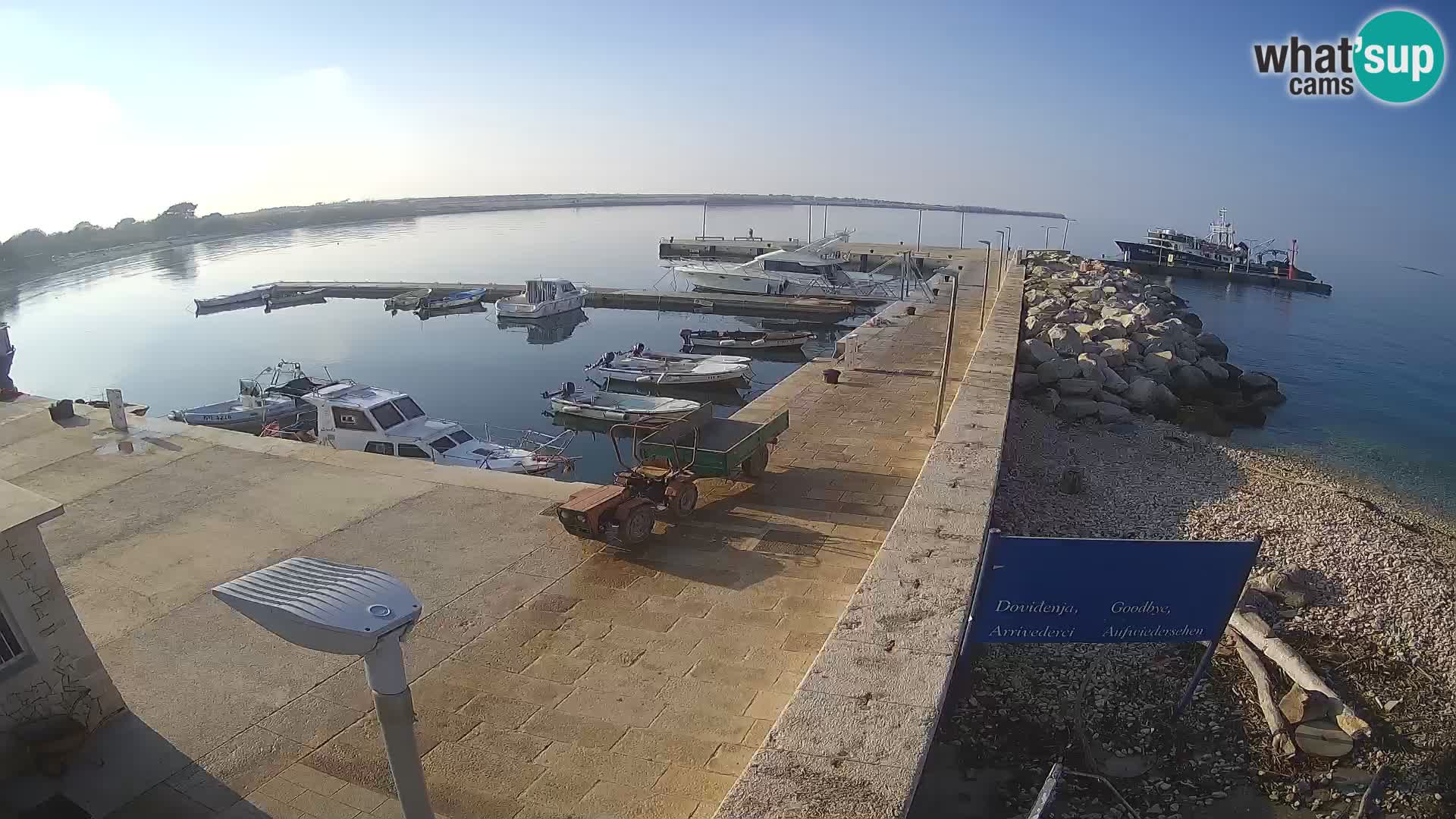 Cámara web de la isla de Unije: explore la belleza de la joya escondida de Croacia