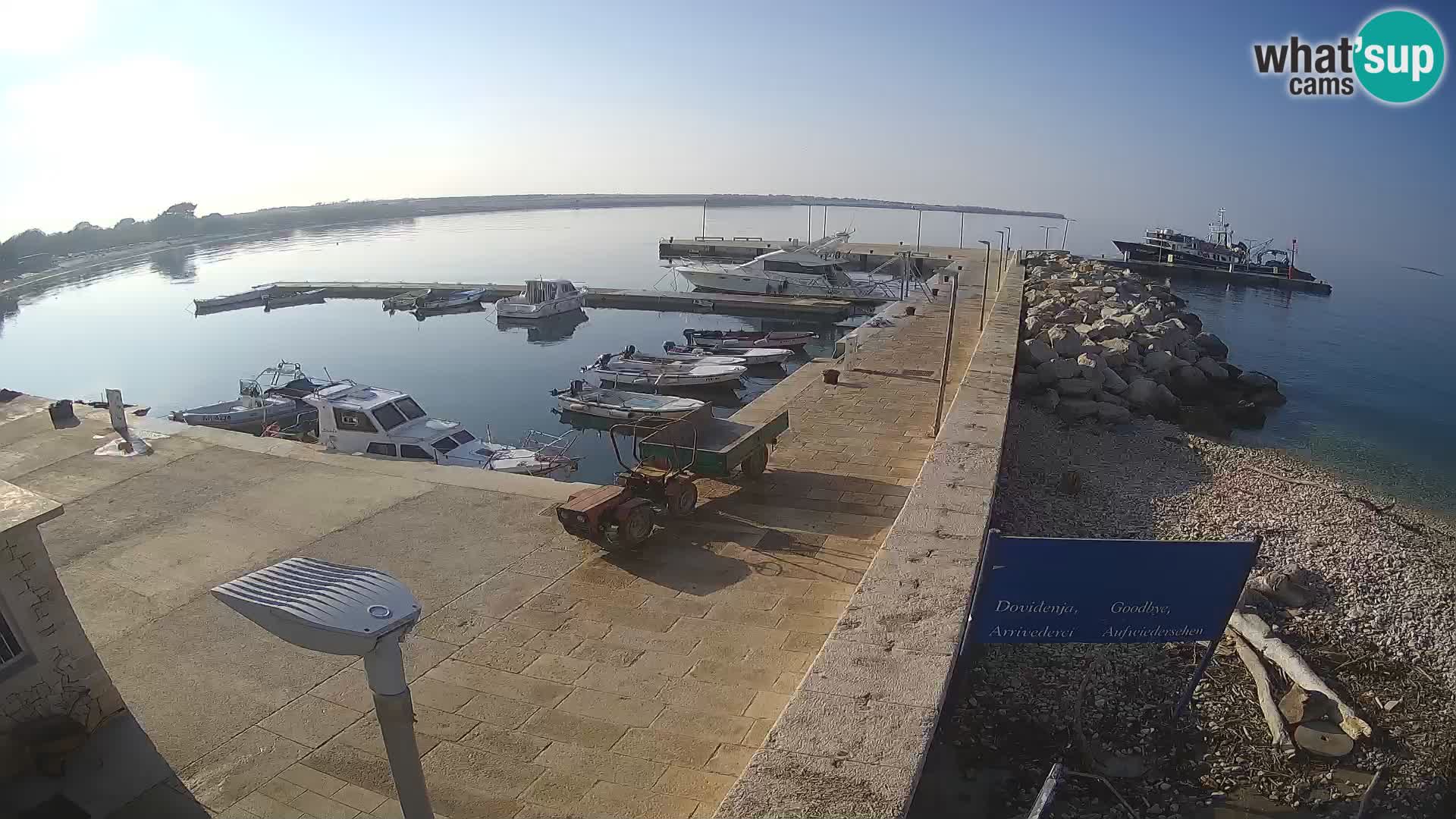 Cámara web de la isla de Unije: explore la belleza de la joya escondida de Croacia