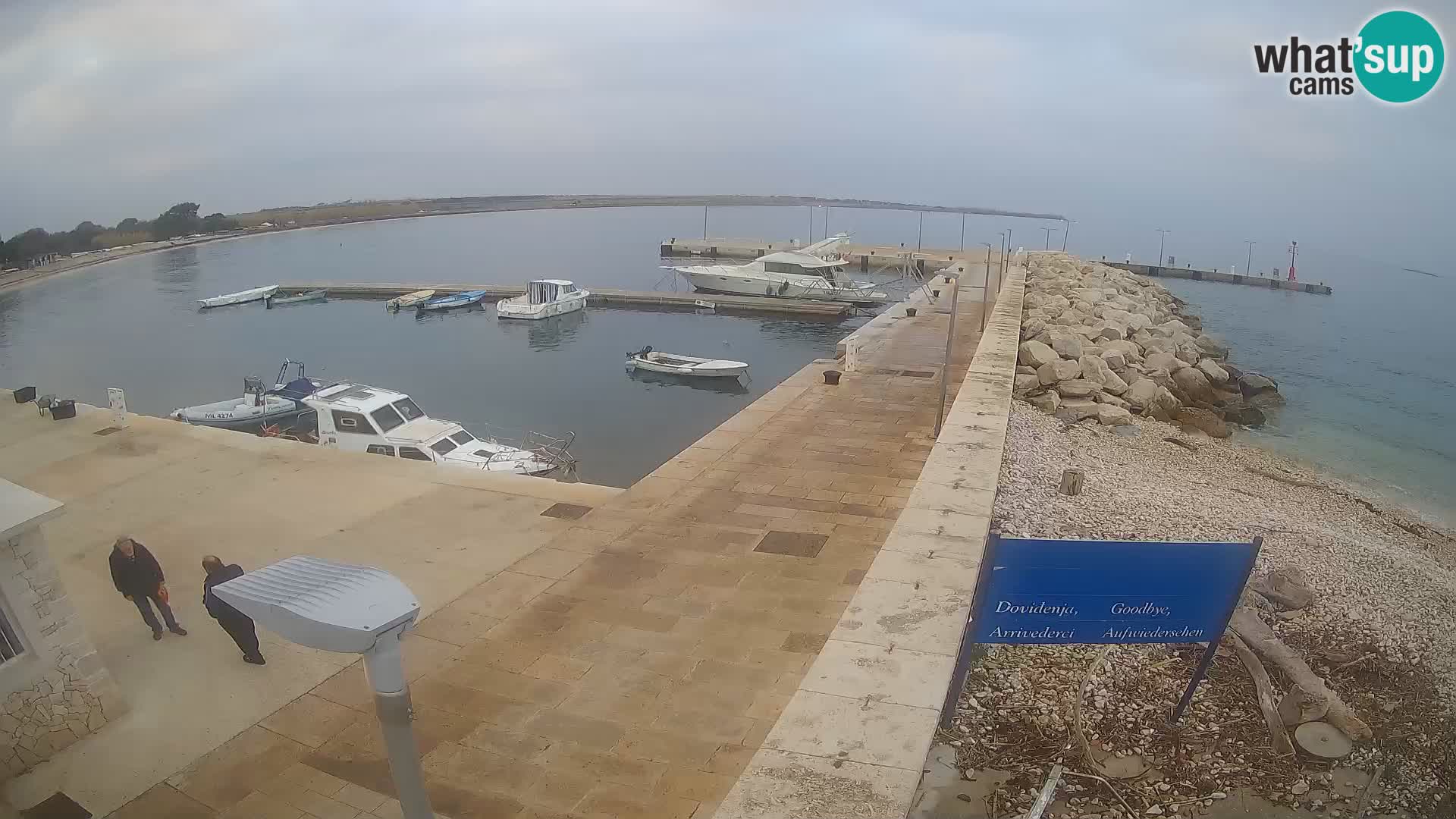 Cámara web de la isla de Unije: explore la belleza de la joya escondida de Croacia