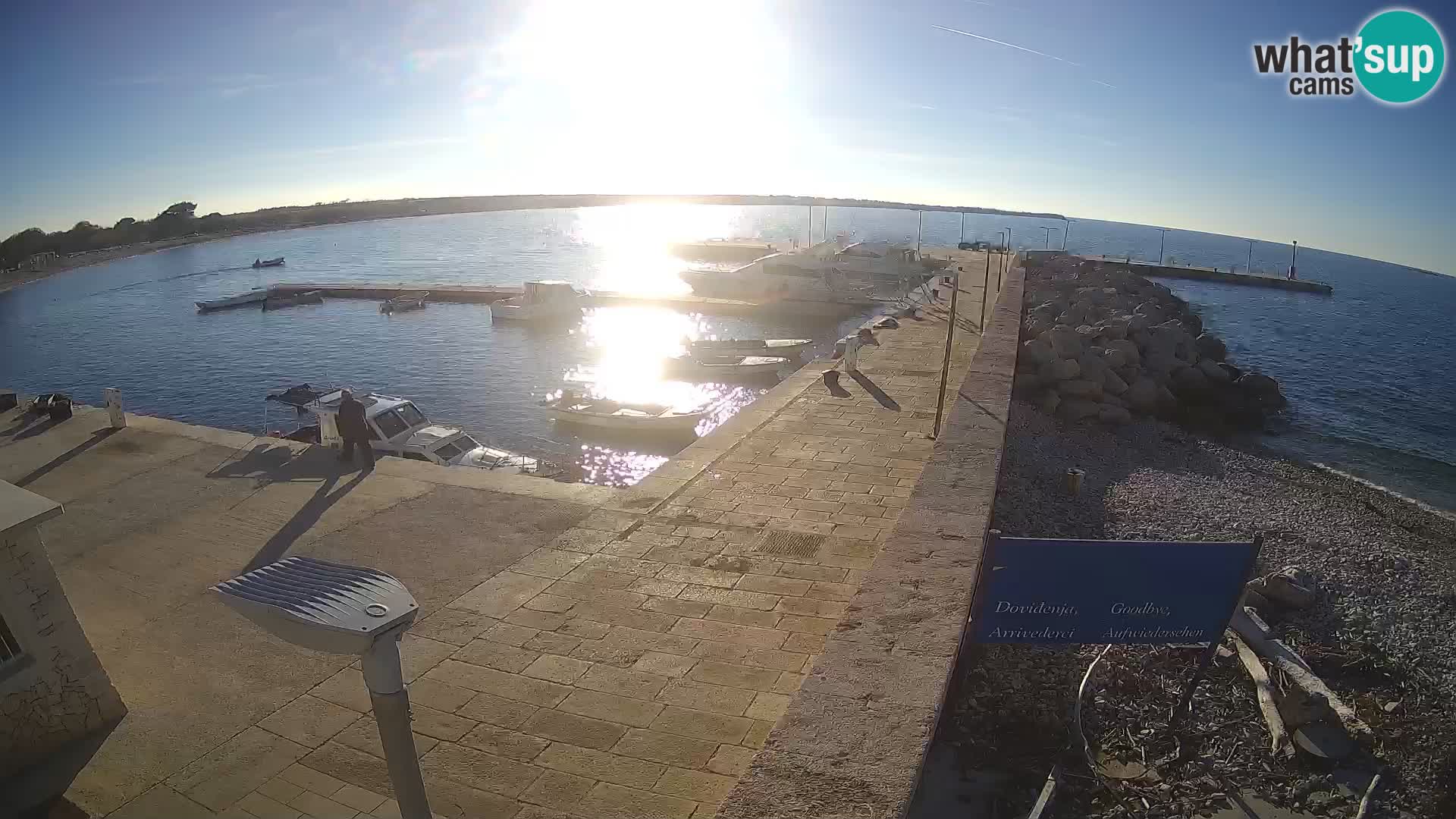 Cámara web de la isla de Unije: explore la belleza de la joya escondida de Croacia