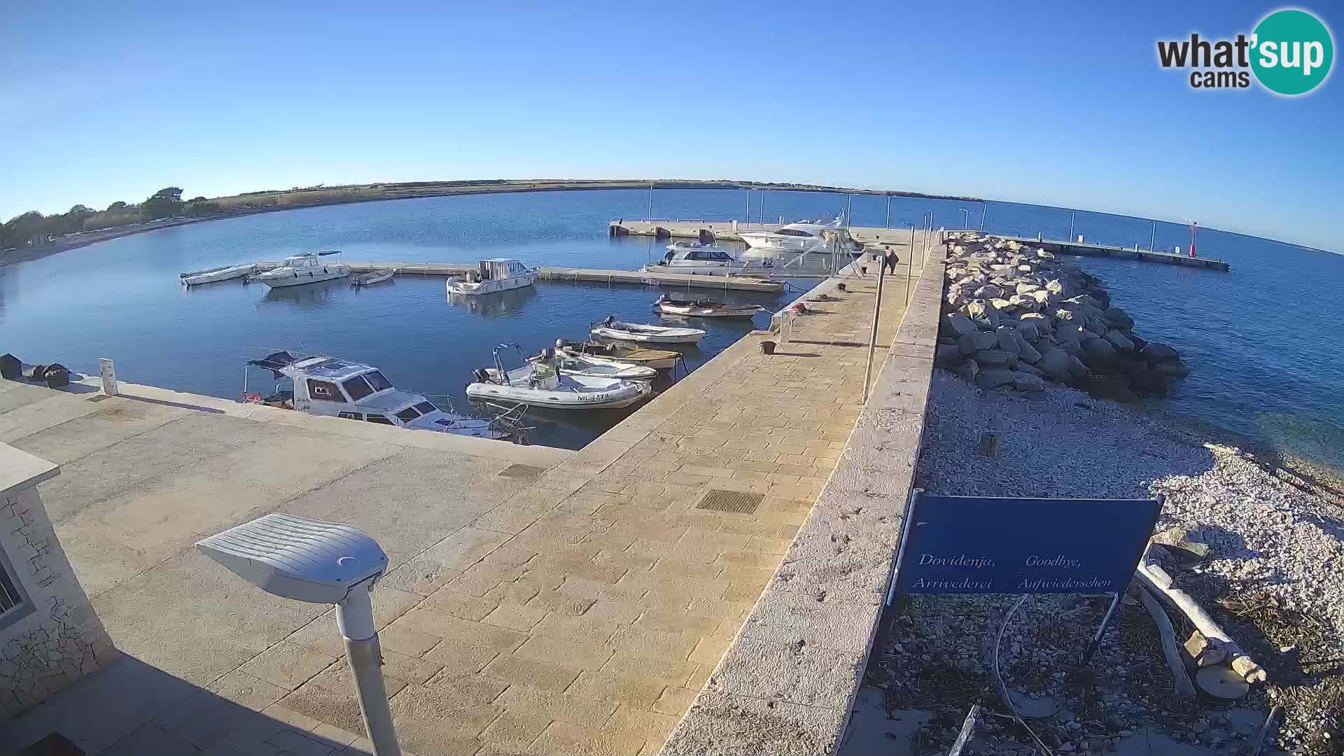 Cámara web de la isla de Unije: explore la belleza de la joya escondida de Croacia