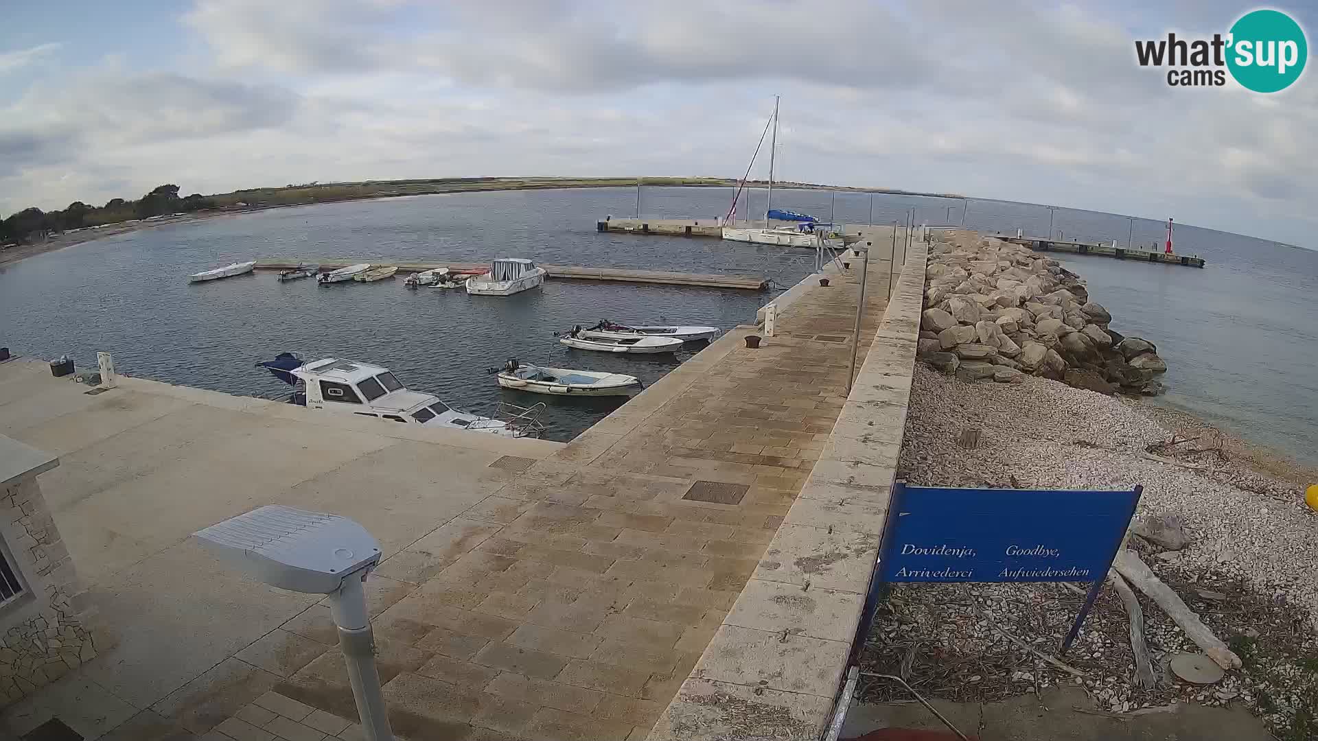 Cámara web de la isla de Unije: explore la belleza de la joya escondida de Croacia