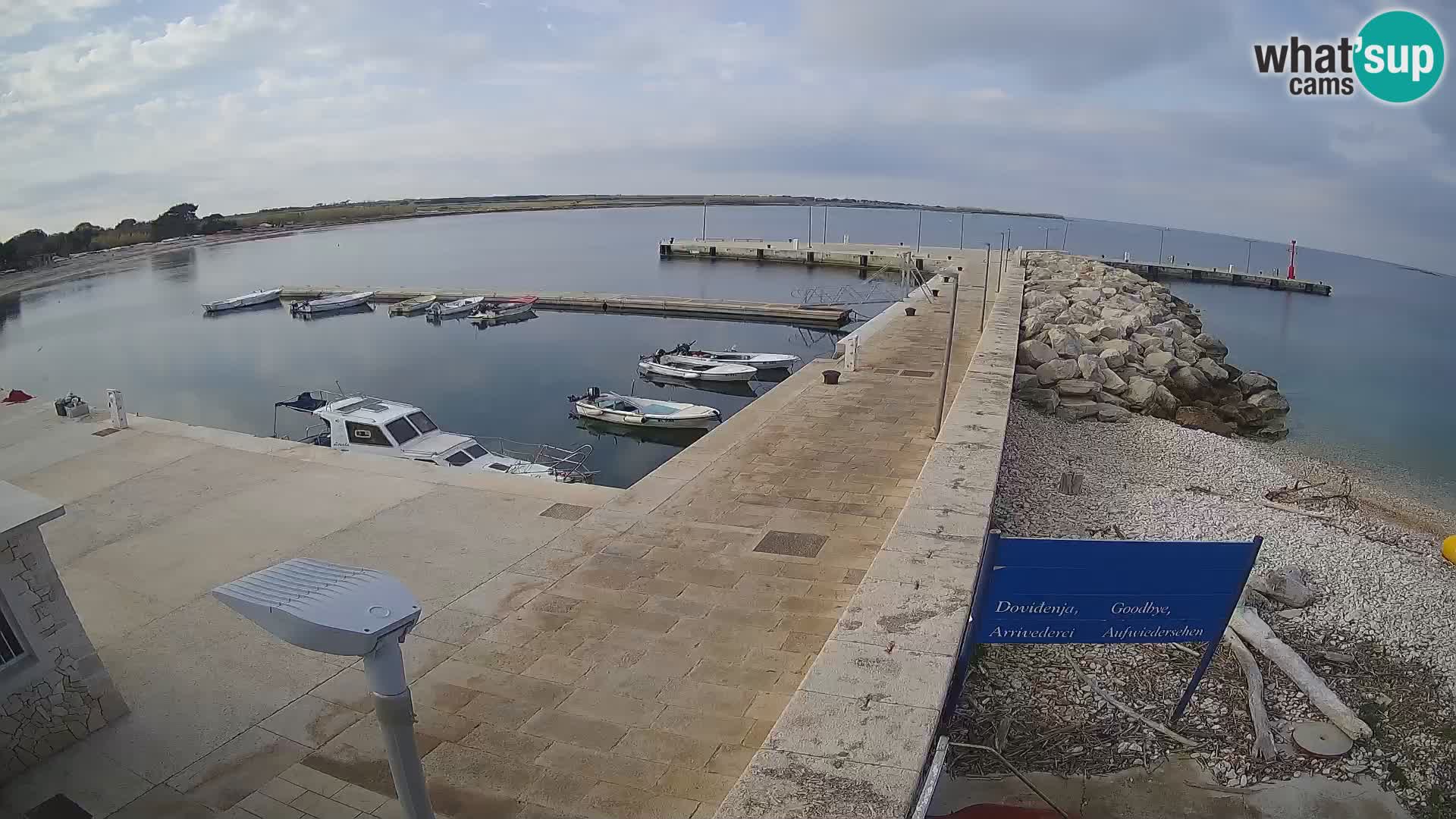 Cámara web de la isla de Unije: explore la belleza de la joya escondida de Croacia