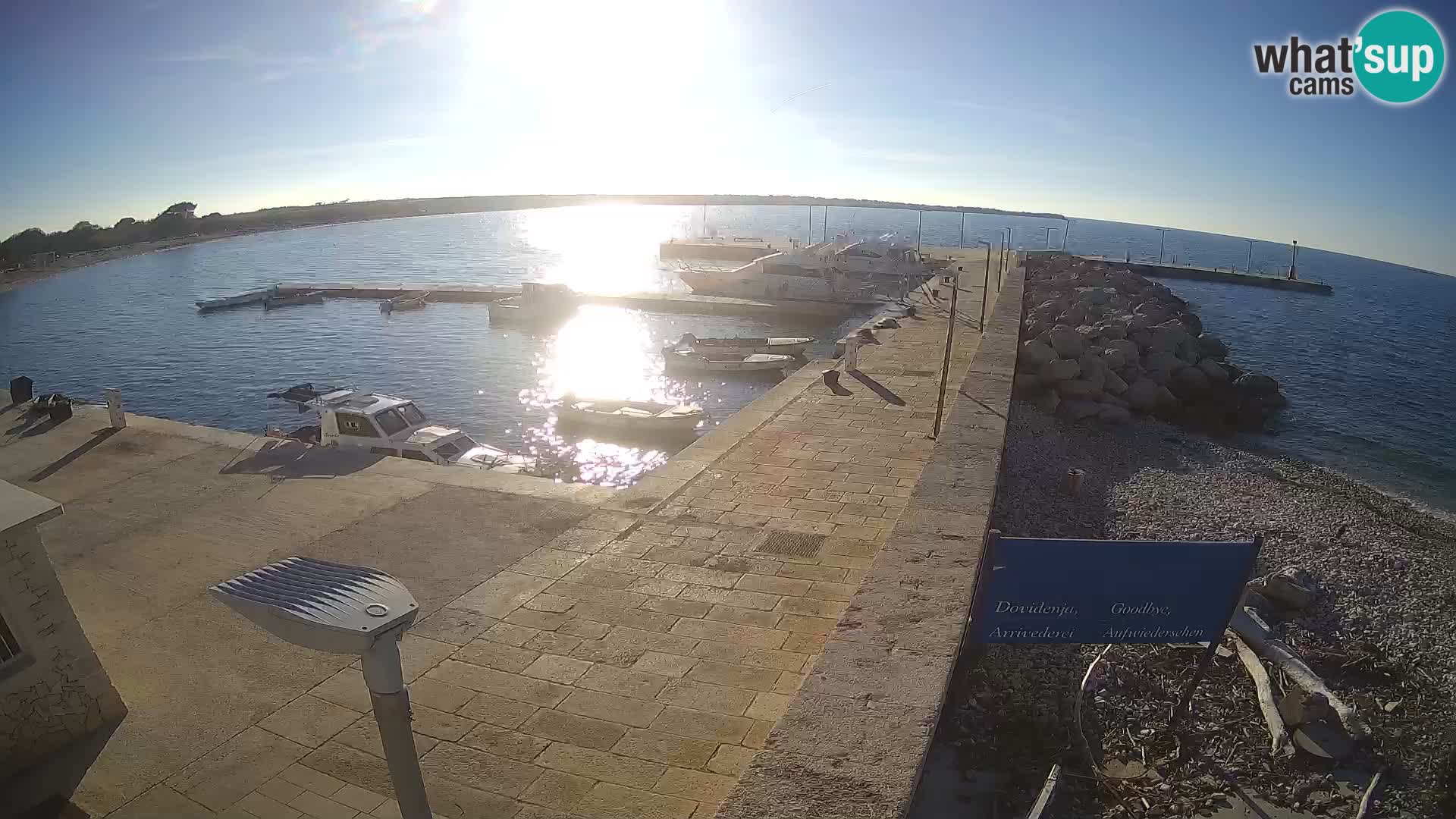 Cámara web de la isla de Unije: explore la belleza de la joya escondida de Croacia