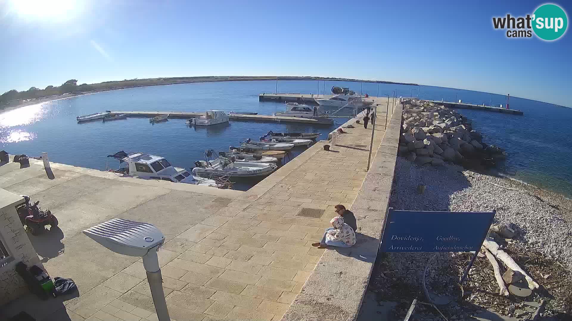 Cámara web de la isla de Unije: explore la belleza de la joya escondida de Croacia