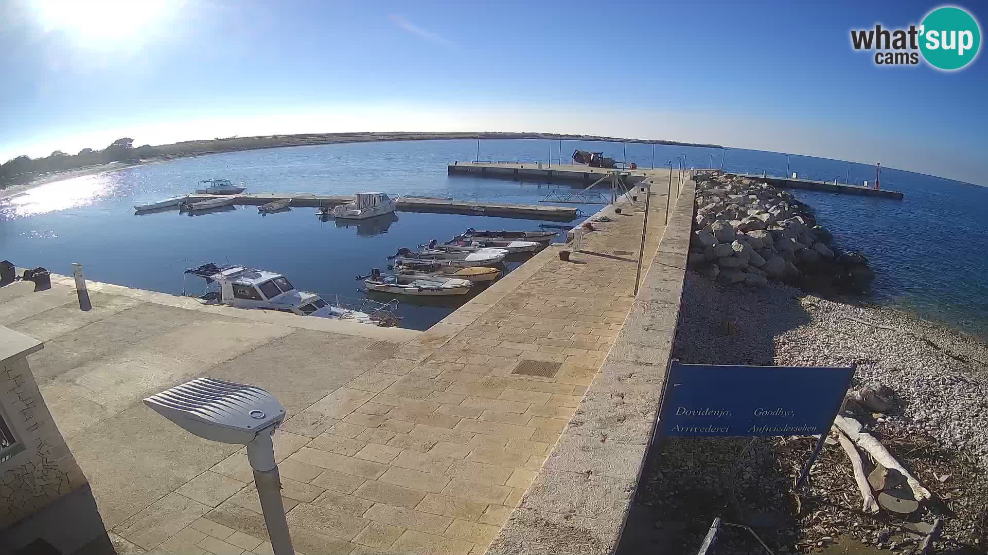 Webcam de l’île d’Unije – Explorez la beauté du joyau caché de la Croatie
