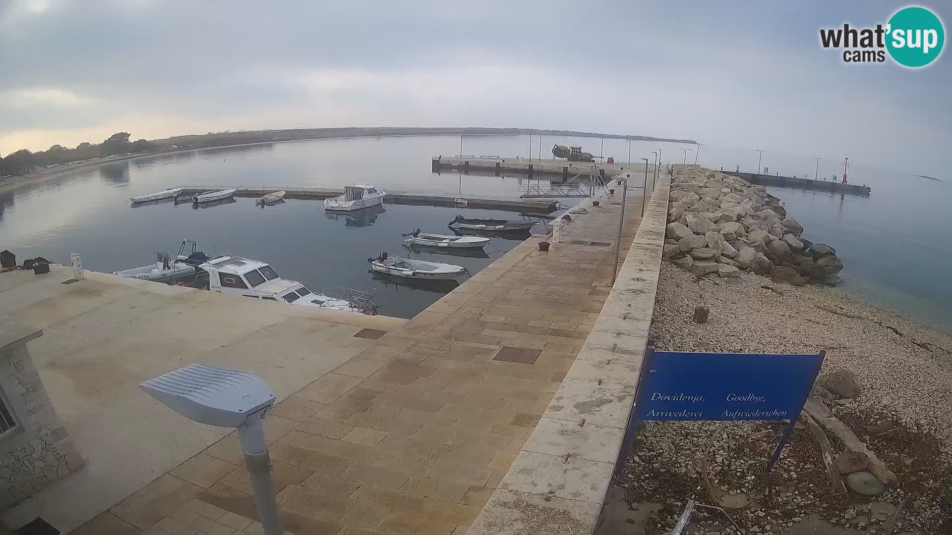 Cámara web de la isla de Unije: explore la belleza de la joya escondida de Croacia