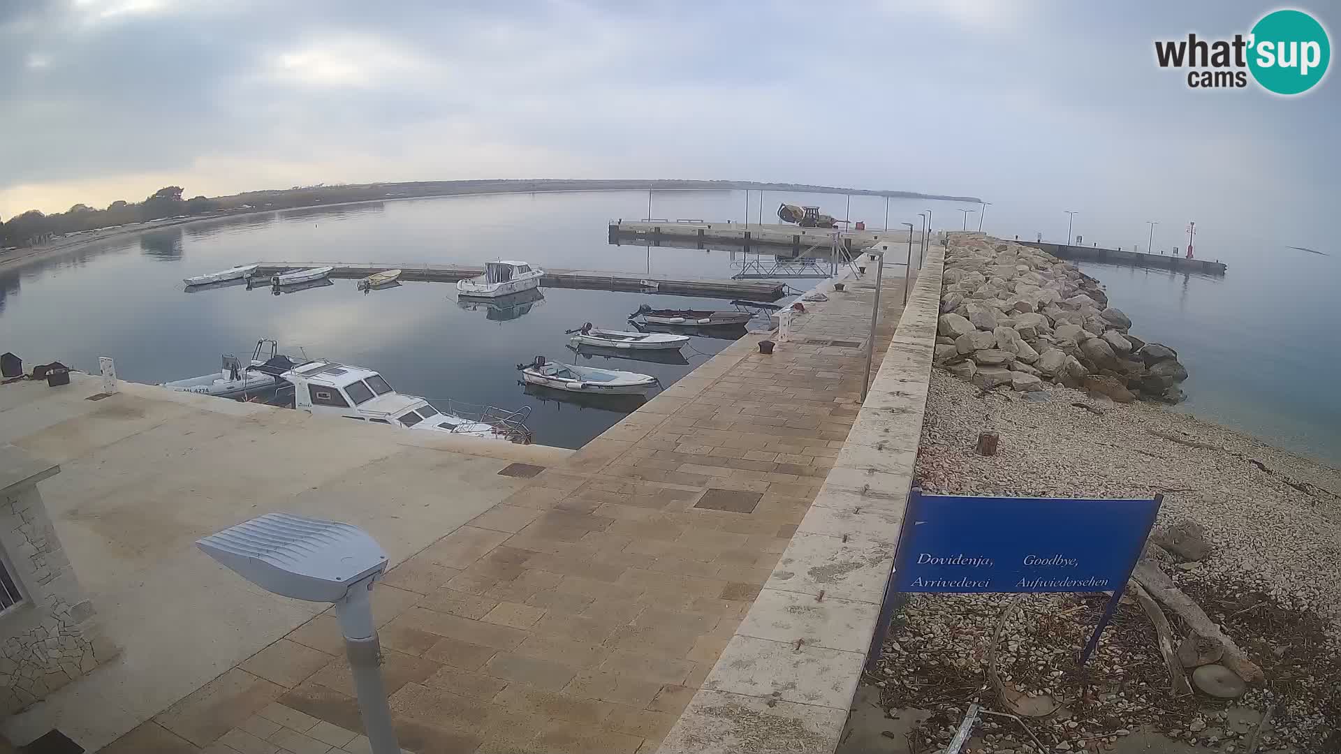 Cámara web de la isla de Unije: explore la belleza de la joya escondida de Croacia