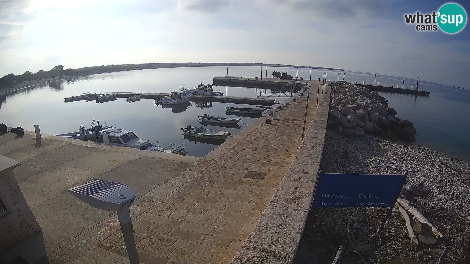 Cámara web de la isla de Unije: explore la belleza de la joya escondida de Croacia