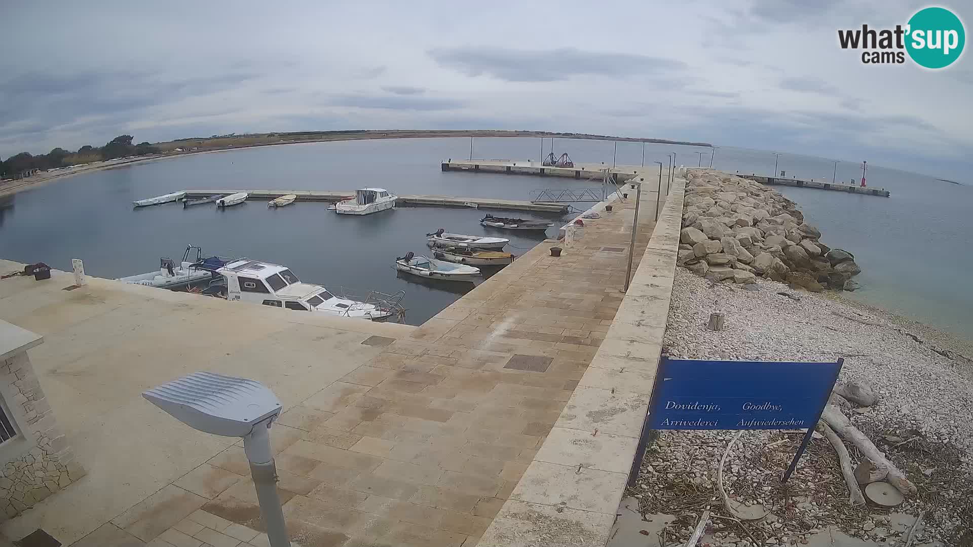 Cámara web de la isla de Unije: explore la belleza de la joya escondida de Croacia