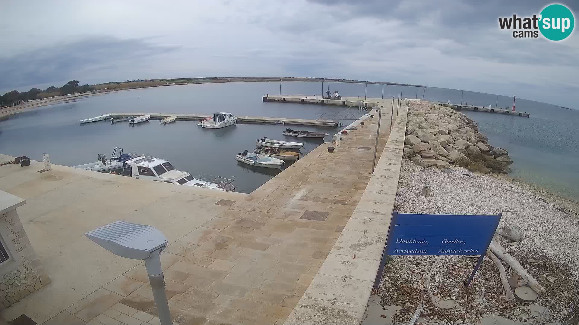 Cámara web de la isla de Unije: explore la belleza de la joya escondida de Croacia