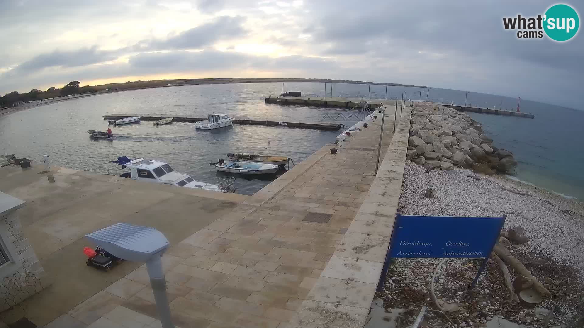 Cámara web de la isla de Unije: explore la belleza de la joya escondida de Croacia