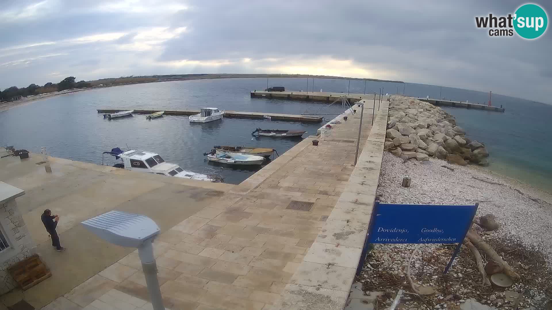 Cámara web de la isla de Unije: explore la belleza de la joya escondida de Croacia