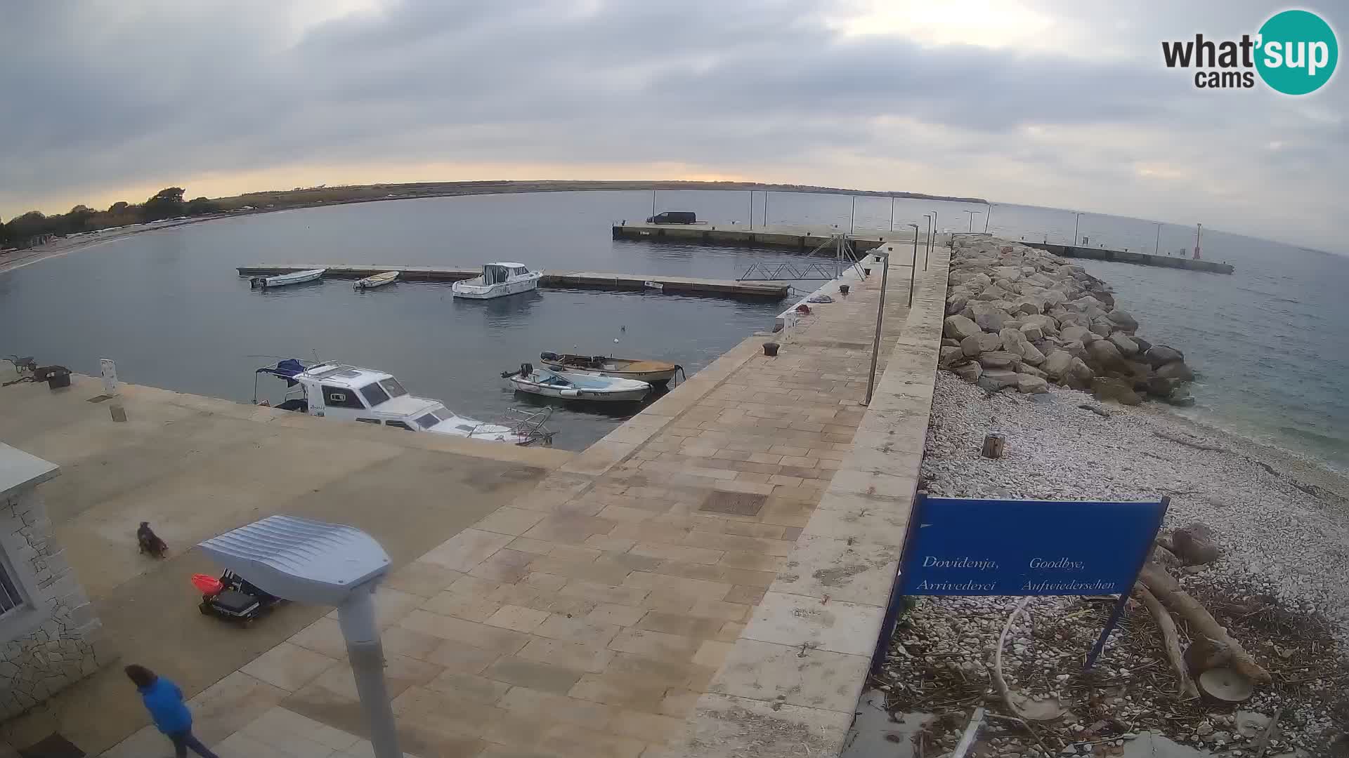 Spletna kamera otoka Unije – Raziščite lepoto skritega dragulja Hrvaške