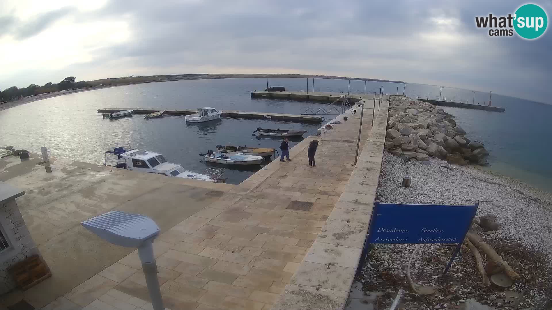 Cámara web de la isla de Unije: explore la belleza de la joya escondida de Croacia