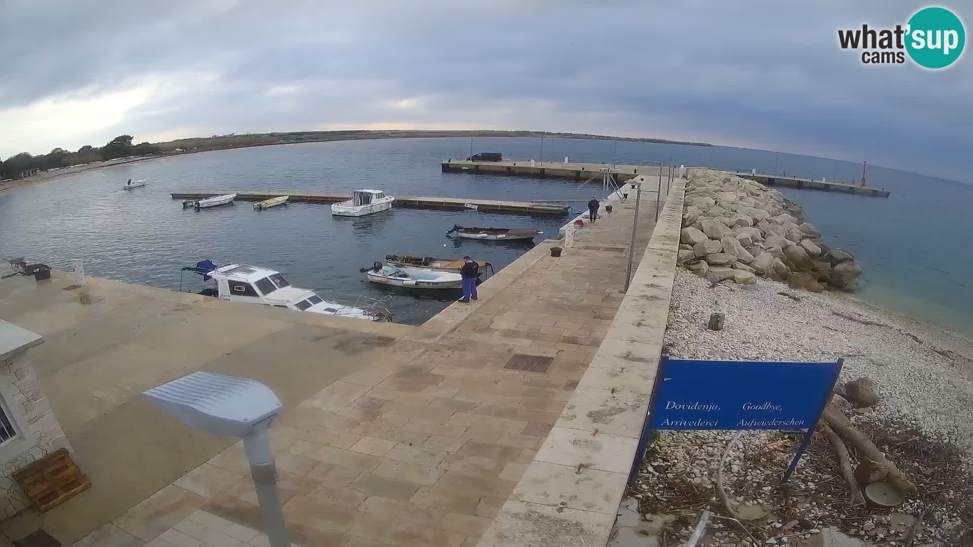 Cámara web de la isla de Unije: explore la belleza de la joya escondida de Croacia