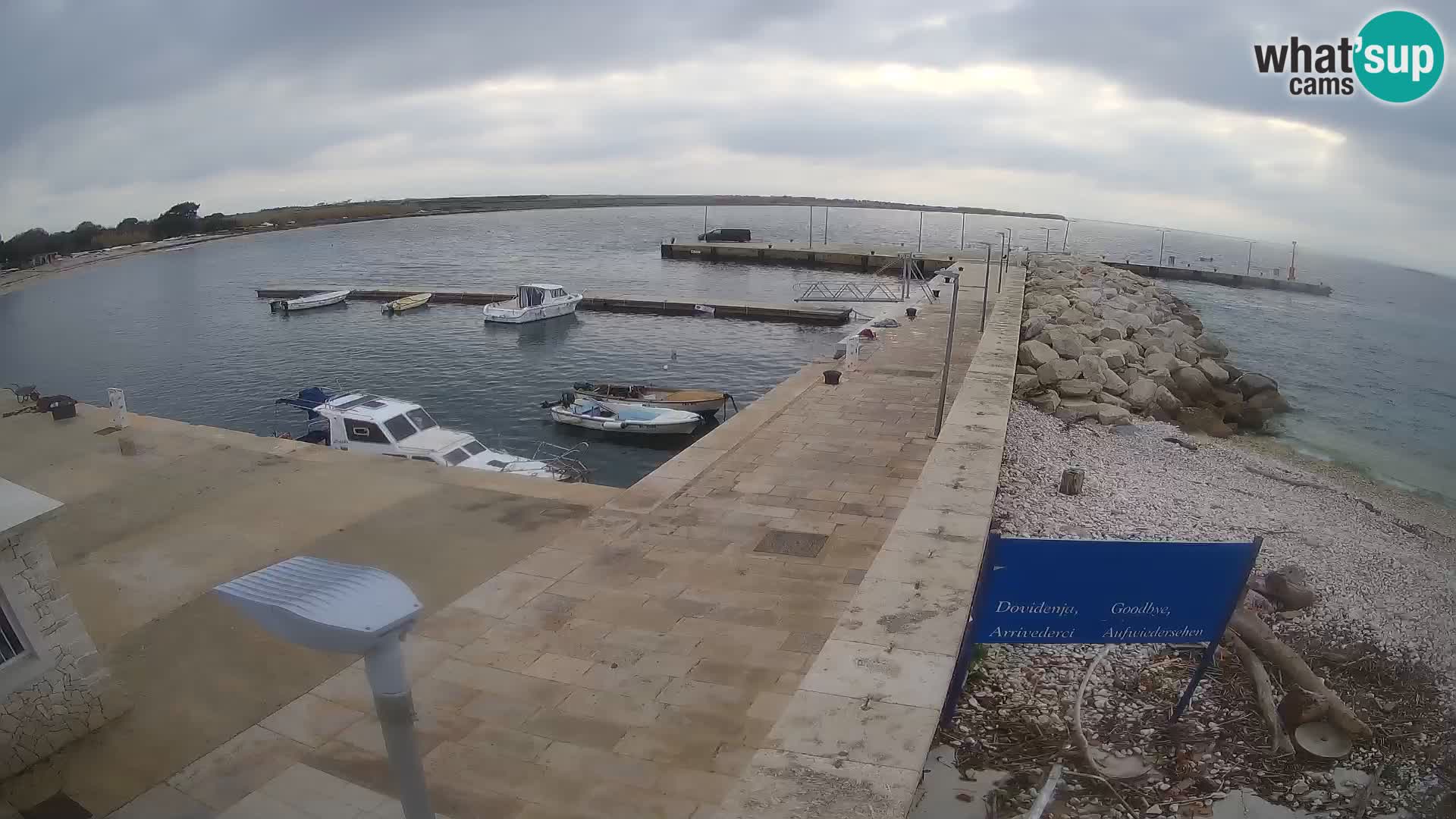 Cámara web de la isla de Unije: explore la belleza de la joya escondida de Croacia