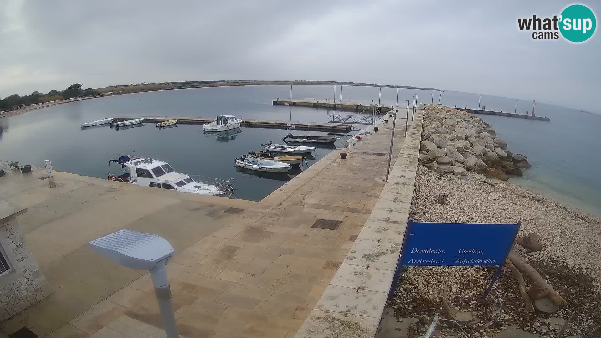 Cámara web de la isla de Unije: explore la belleza de la joya escondida de Croacia