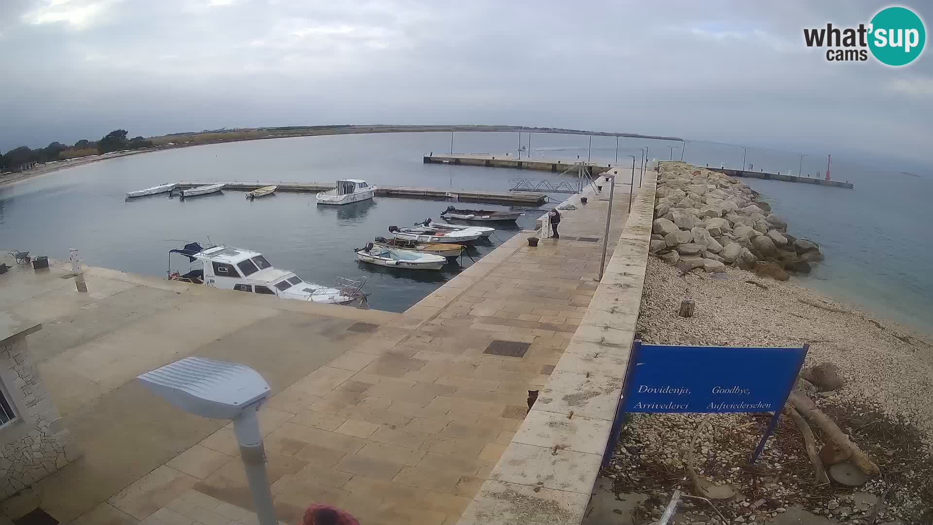 Webcam Isola di Unije – Esplora la bellezza della gemma nascosta della Croazia