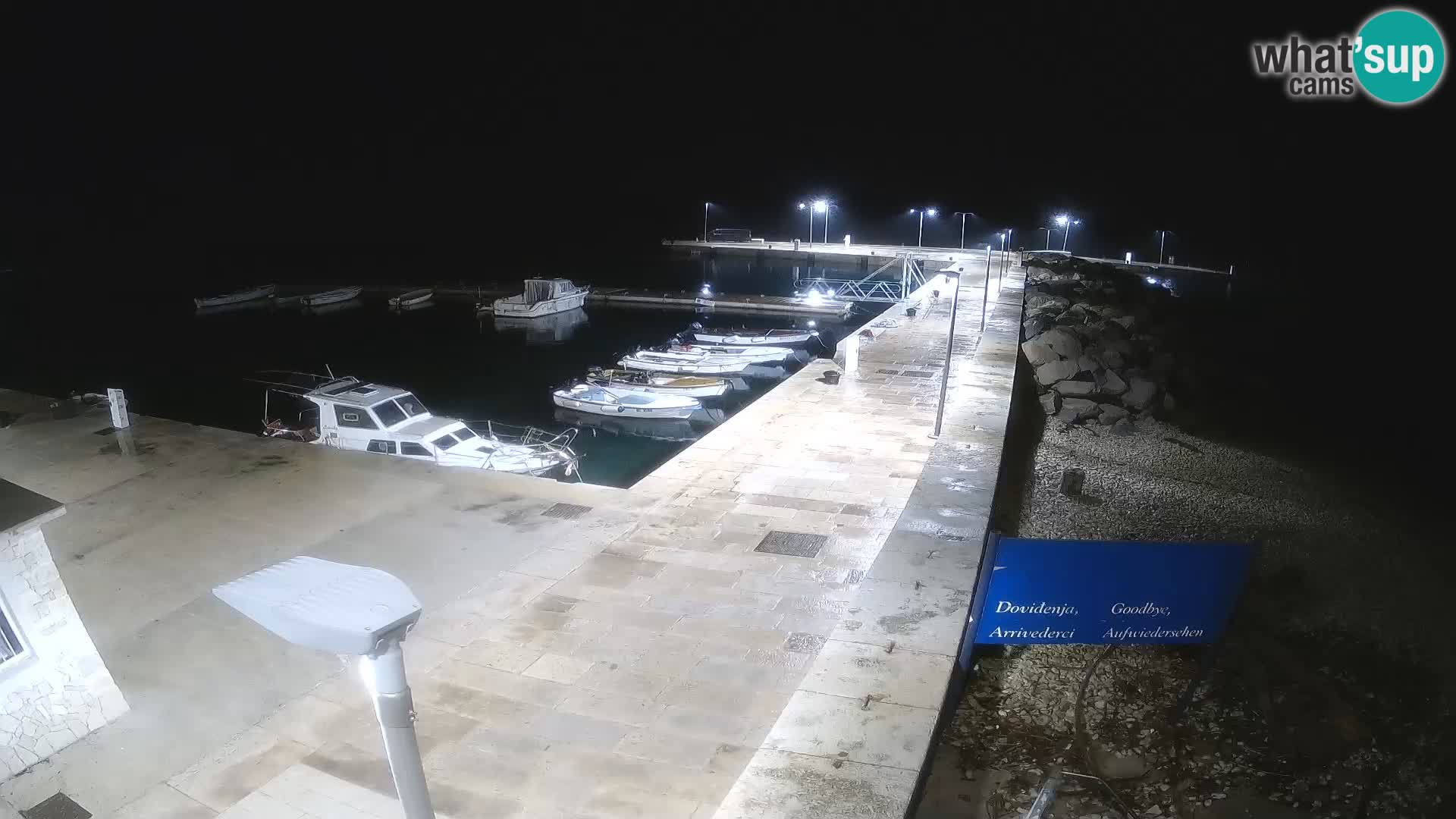 Cámara web de la isla de Unije: explore la belleza de la joya escondida de Croacia