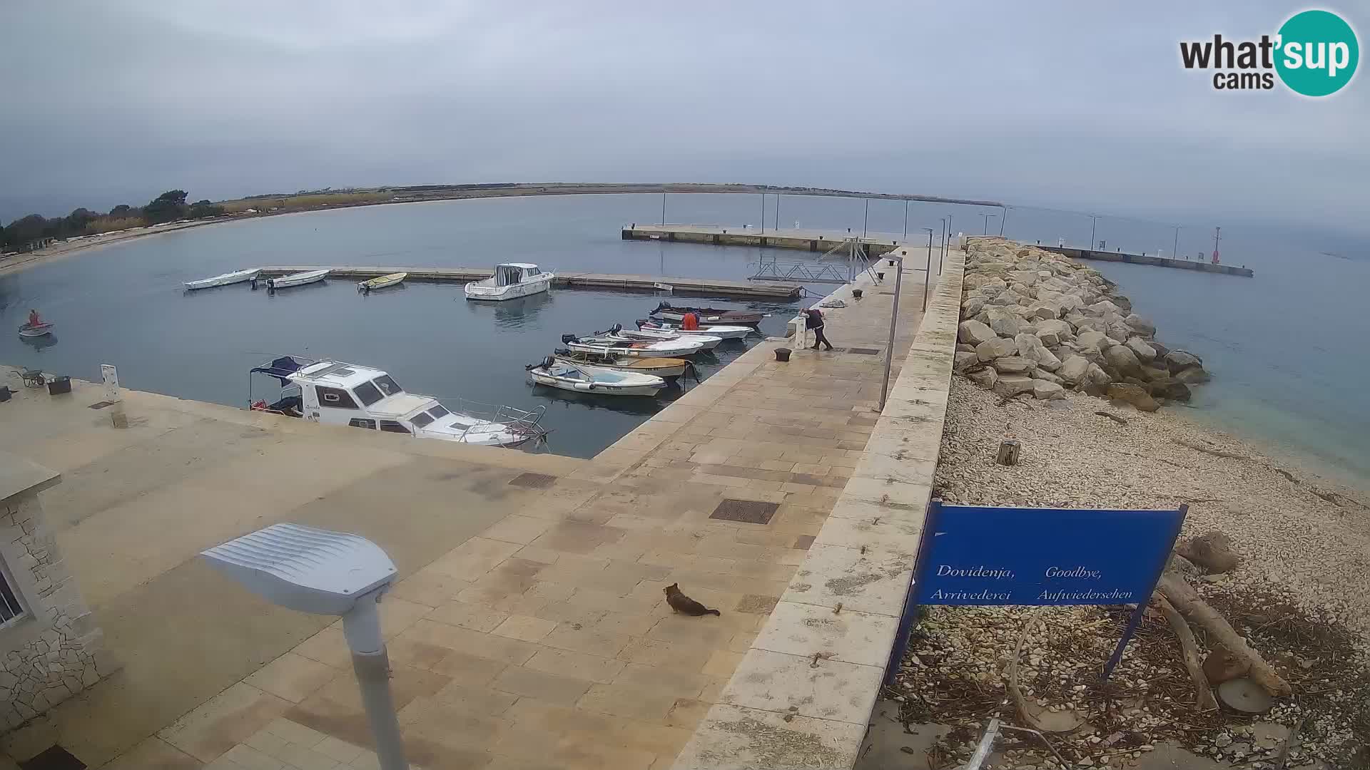 Webcam Isola di Unije – Esplora la bellezza della gemma nascosta della Croazia