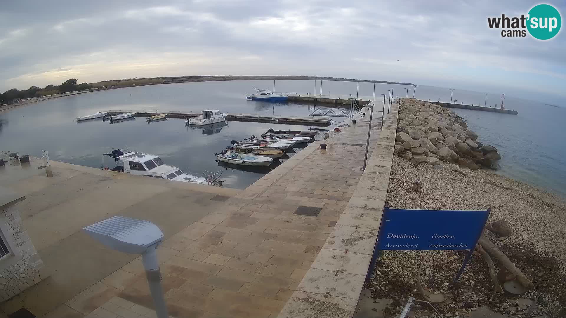 Cámara web de la isla de Unije: explore la belleza de la joya escondida de Croacia