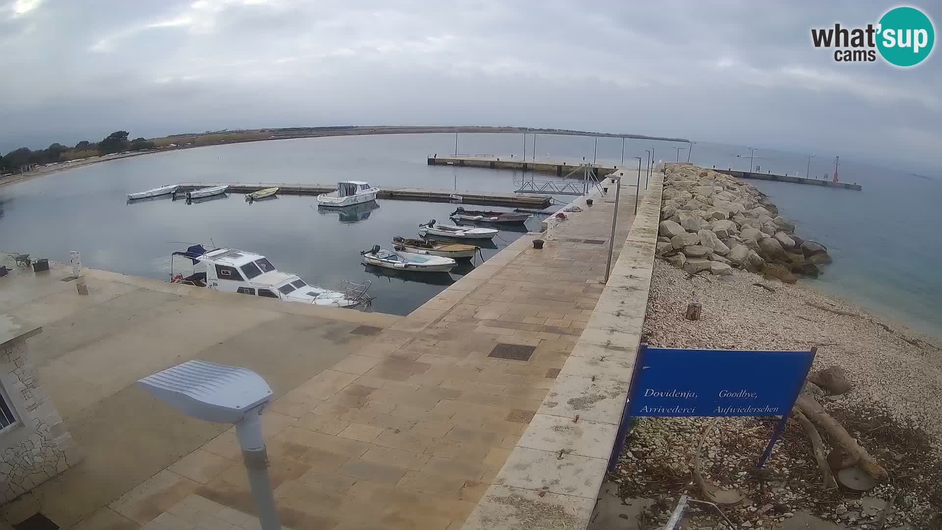 Cámara web de la isla de Unije: explore la belleza de la joya escondida de Croacia