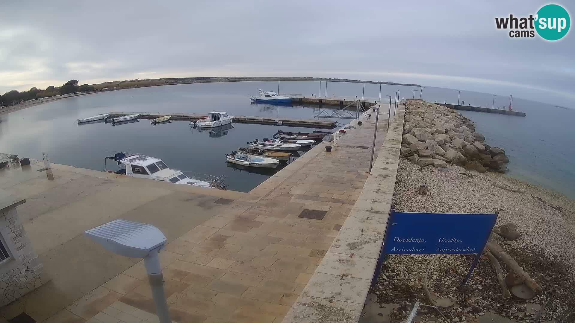 Cámara web de la isla de Unije: explore la belleza de la joya escondida de Croacia