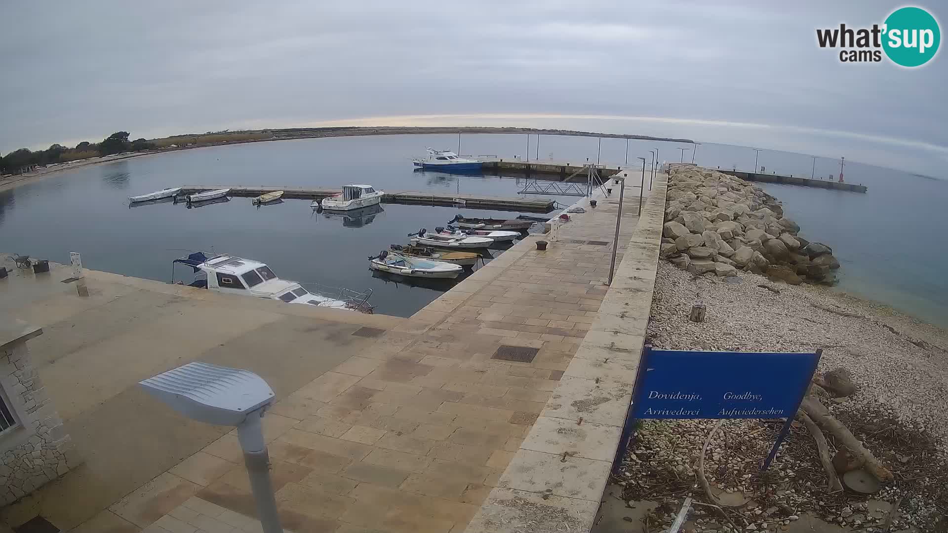 Cámara web de la isla de Unije: explore la belleza de la joya escondida de Croacia