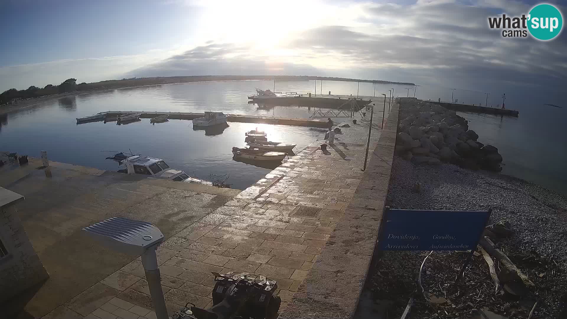 Cámara web de la isla de Unije: explore la belleza de la joya escondida de Croacia