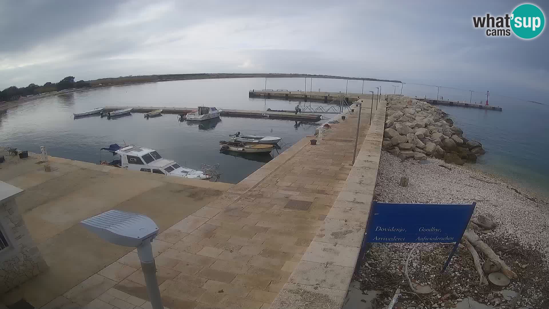 Cámara web de la isla de Unije: explore la belleza de la joya escondida de Croacia