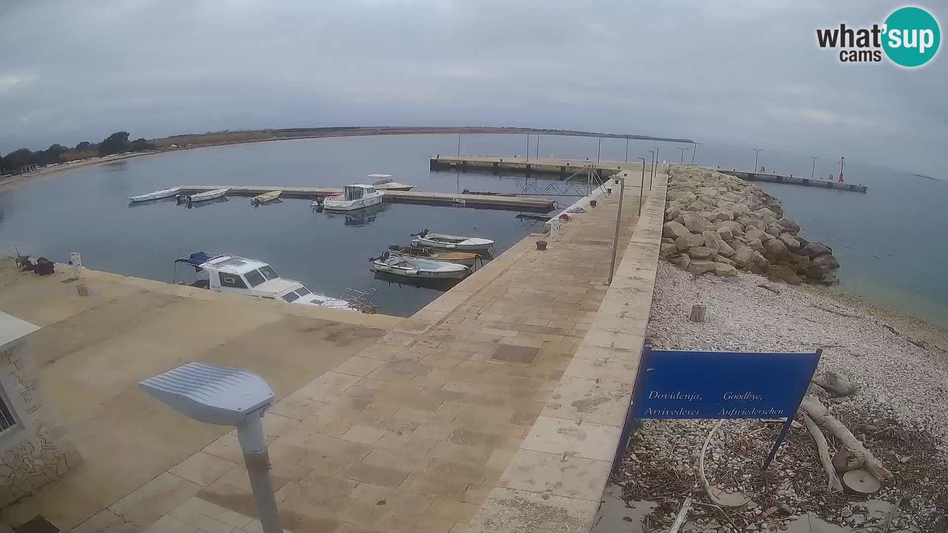 Cámara web de la isla de Unije: explore la belleza de la joya escondida de Croacia