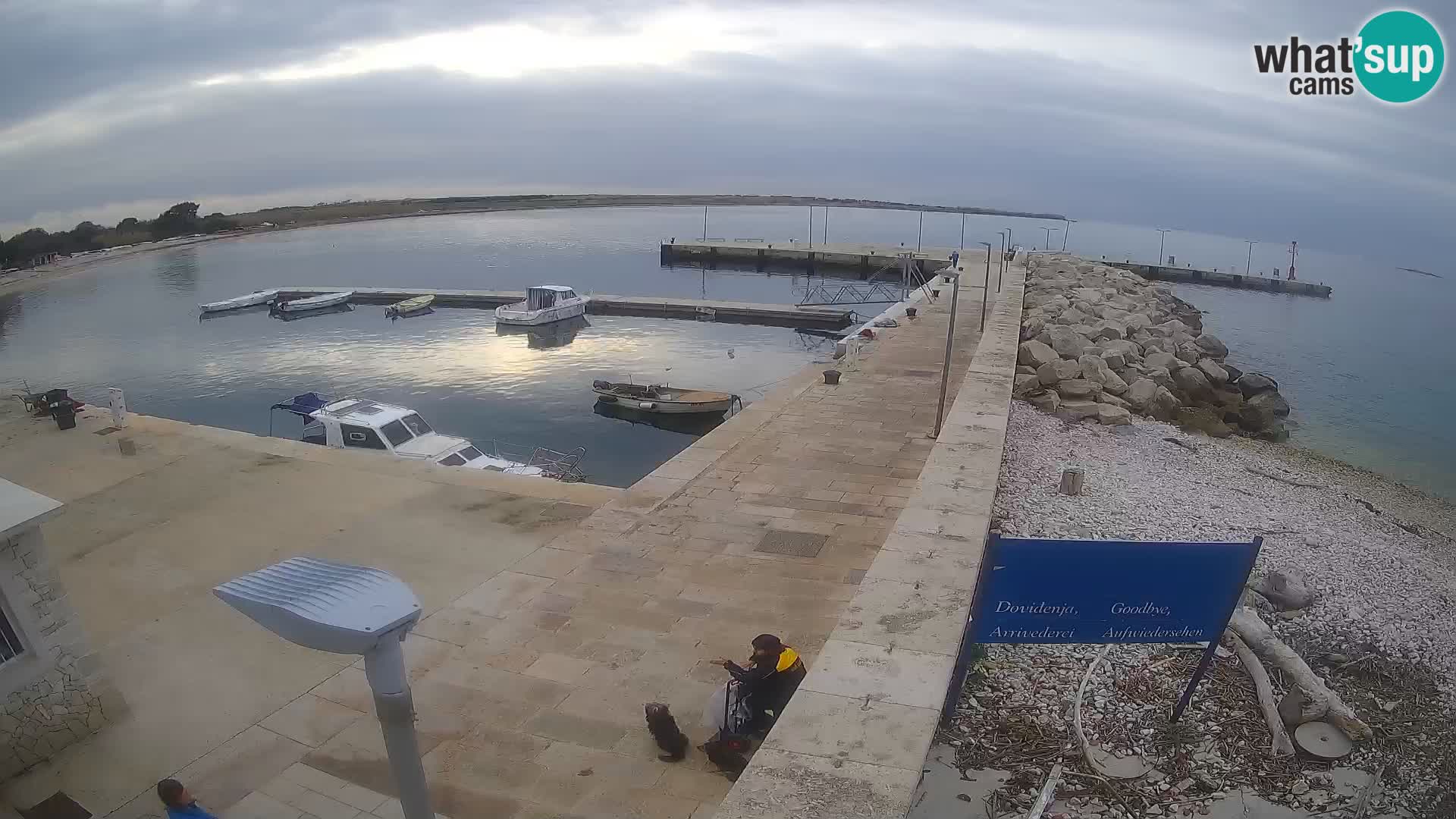 Unije Island Webcam – Explore the Beauty of Croatia’s Hidden Gem