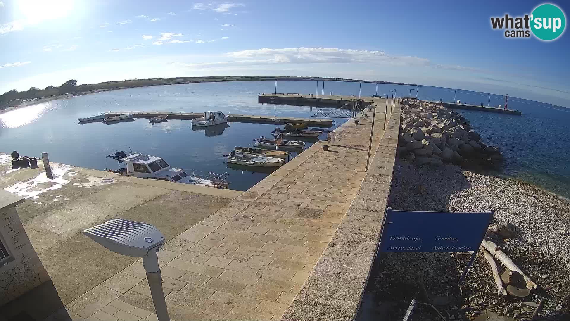 Cámara web de la isla de Unije: explore la belleza de la joya escondida de Croacia