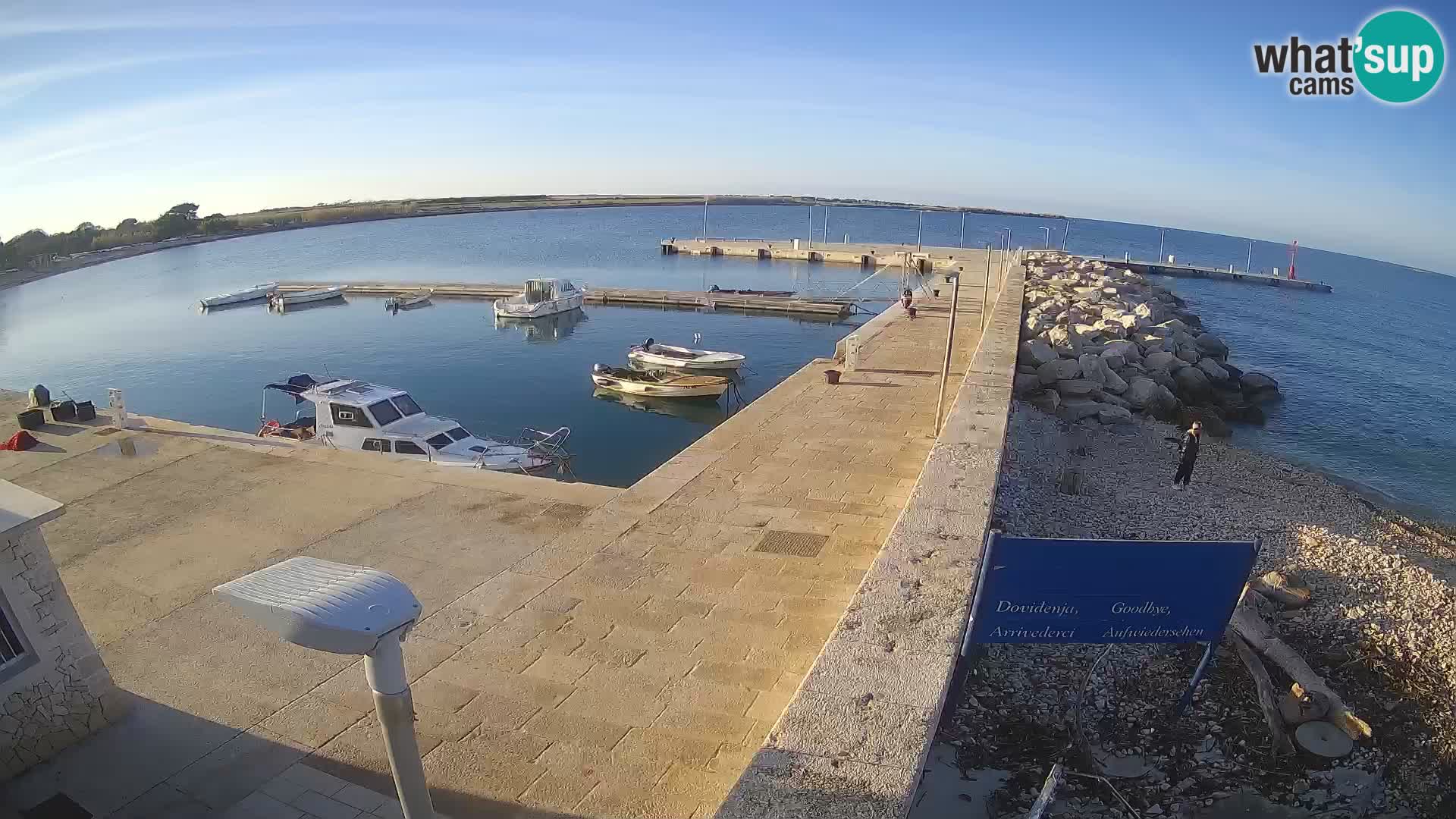 Cámara web de la isla de Unije: explore la belleza de la joya escondida de Croacia