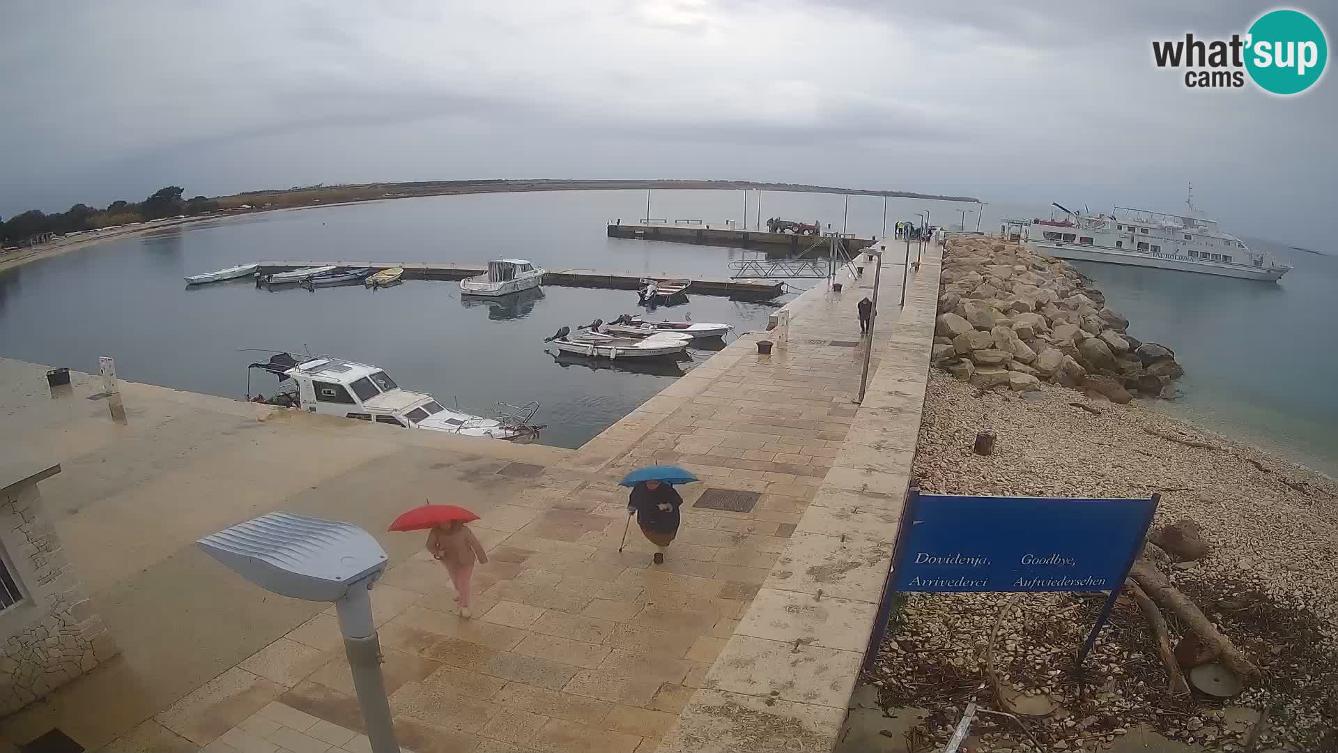 Webcam Isola di Unije – Esplora la bellezza della gemma nascosta della Croazia