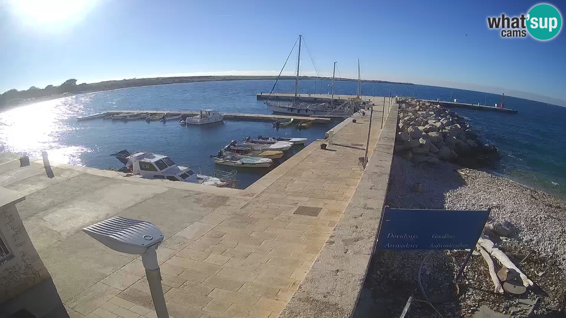 Cámara web de la isla de Unije: explore la belleza de la joya escondida de Croacia