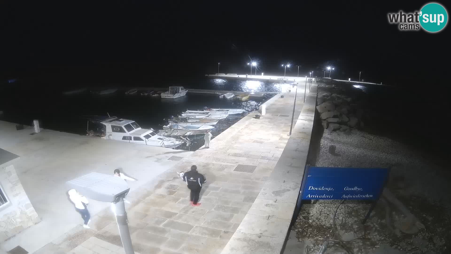 Cámara web de la isla de Unije: explore la belleza de la joya escondida de Croacia