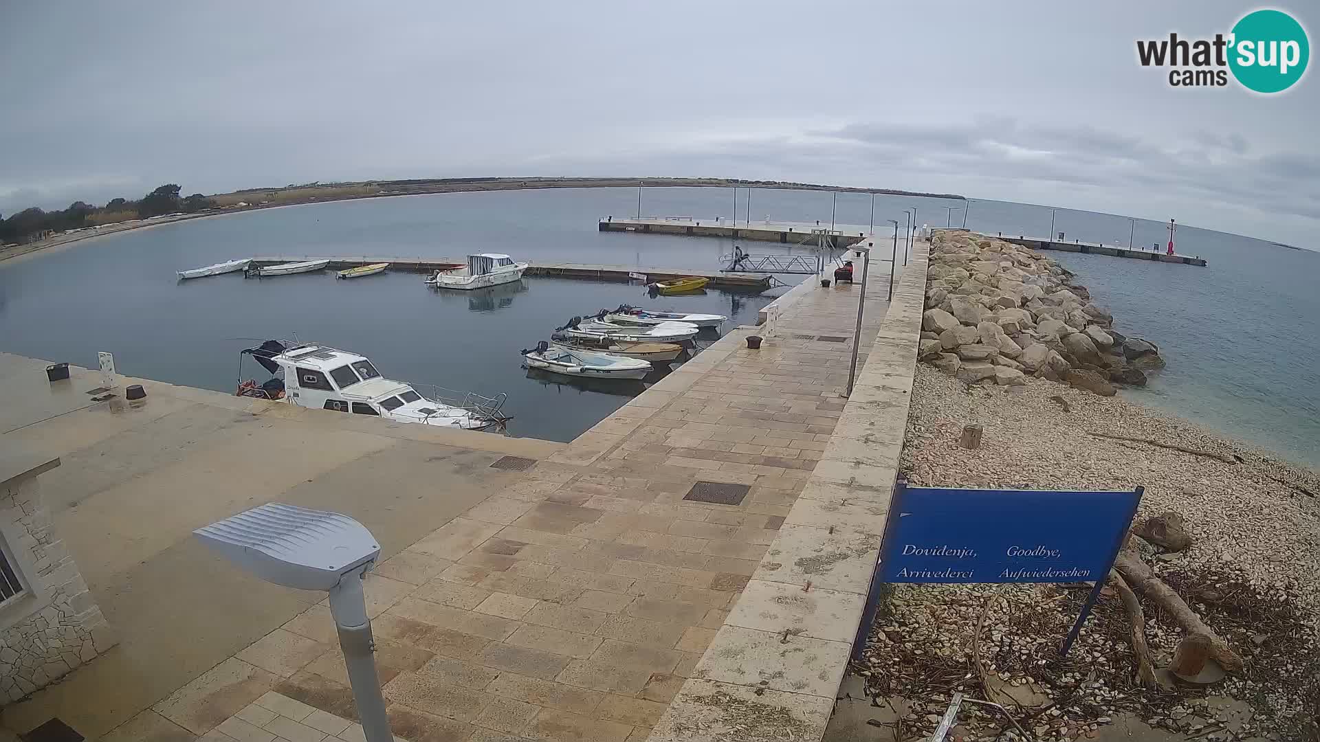 Cámara web de la isla de Unije: explore la belleza de la joya escondida de Croacia