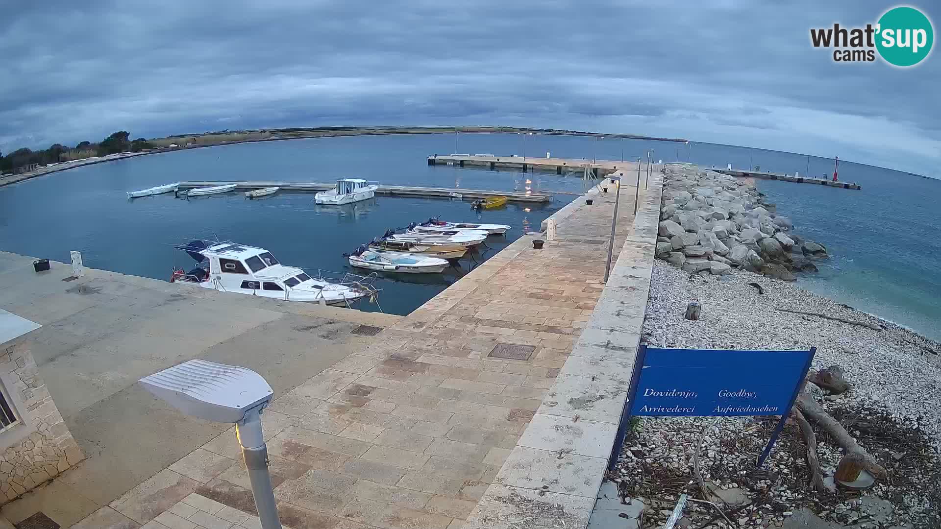 Cámara web de la isla de Unije: explore la belleza de la joya escondida de Croacia