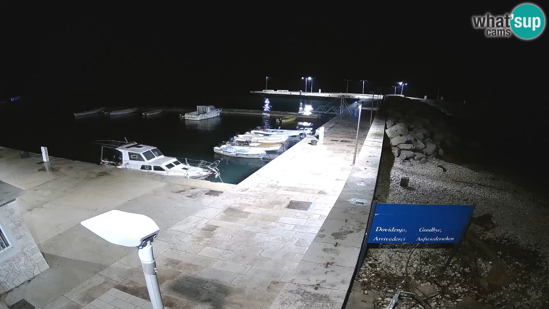 Cámara web de la isla de Unije: explore la belleza de la joya escondida de Croacia