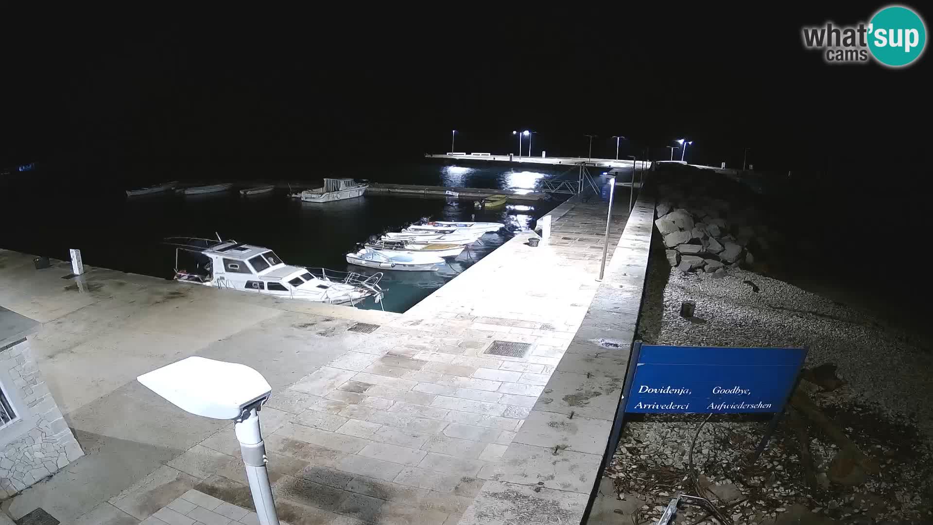 Cámara web de la isla de Unije: explore la belleza de la joya escondida de Croacia