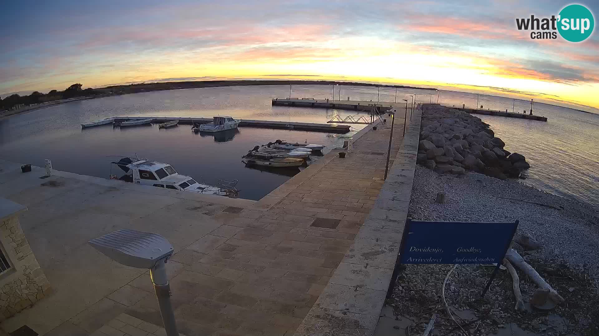 Cámara web de la isla de Unije: explore la belleza de la joya escondida de Croacia