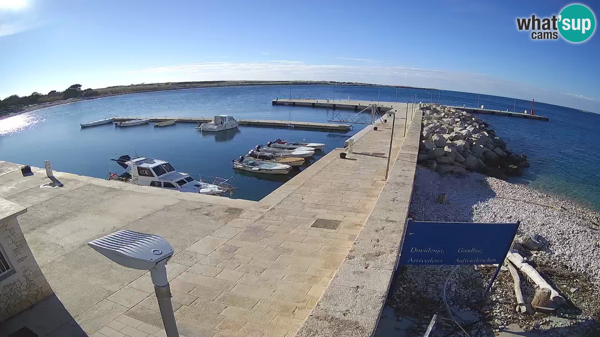 Cámara web de la isla de Unije: explore la belleza de la joya escondida de Croacia