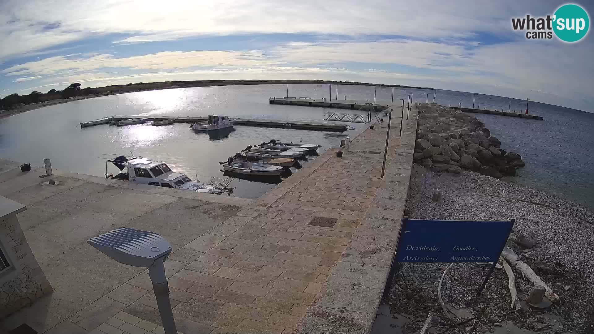 Cámara web de la isla de Unije: explore la belleza de la joya escondida de Croacia