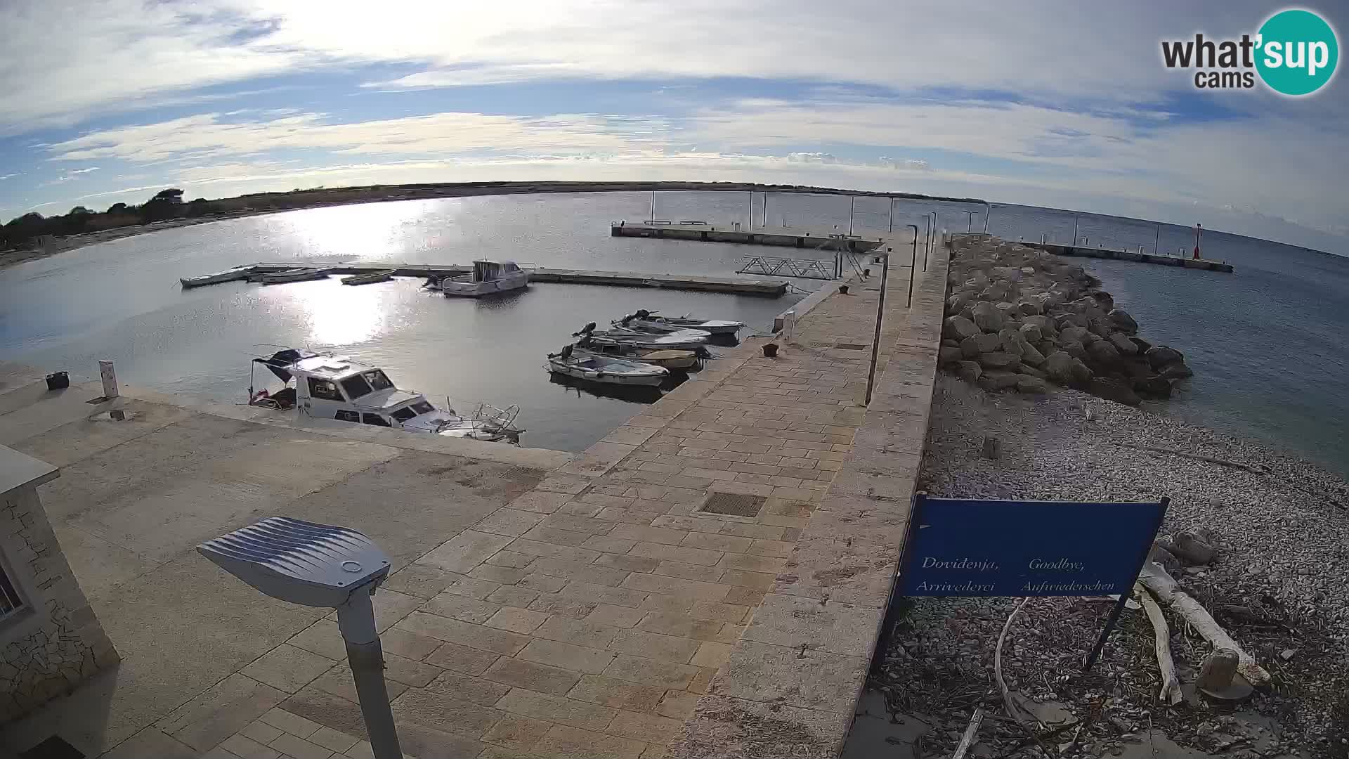 Cámara web de la isla de Unije: explore la belleza de la joya escondida de Croacia