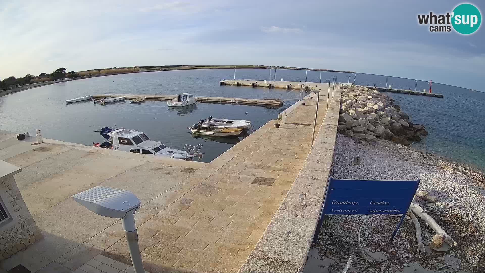 Cámara web de la isla de Unije: explore la belleza de la joya escondida de Croacia